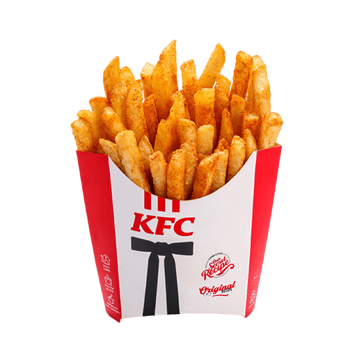 Large Masala Fries